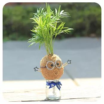 【迎光】造型苔球同樂會-小小兵