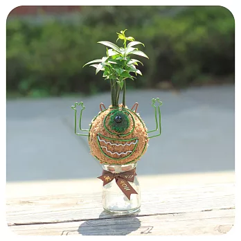 【迎光】造型苔球同樂會-大眼仔