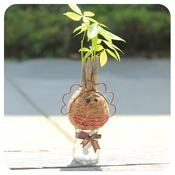 【迎光】造型苔球同樂會-花媽