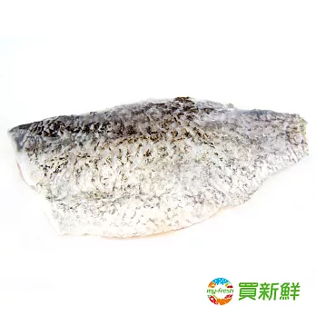 【買新鮮】鱸魚清肉片2包組(320g/片)★免運