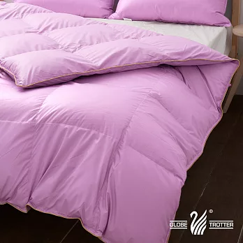 【遊遍天下】MIT台灣製立體隔間時尚金邊立體羽絲絨被2.3kg淺紫