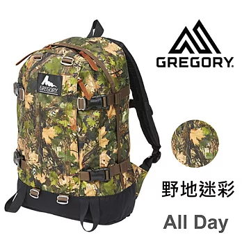 【美國Gregory】All Day日系休閒後背包22L-野地迷彩