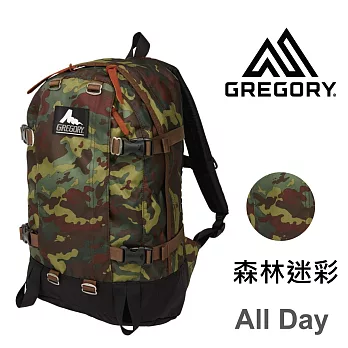 【美國Gregory】All Day日系休閒後背包22L-森林迷彩