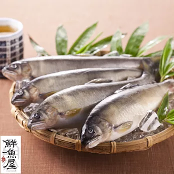 【鮮魚屋】宜蘭西瓜香公香魚8隻/1kg*1盒