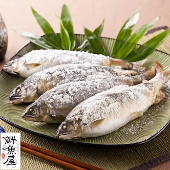 【鮮魚屋】宜蘭超大隻爆卵母香魚5隻/1kg*1盒