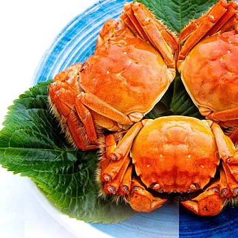 【台灣蟹老闆】台灣大閘蟹4.1-4.6兩(8隻)