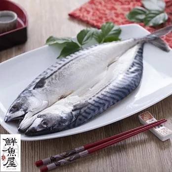 【鮮魚屋】挪威薄鹽整尾鯖魚約500g*1條