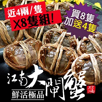 加碼送4隻【優鮮配】鮮活江南大閘蟹近4兩X8隻組(保證每隻淨重140~160g)超值免運組