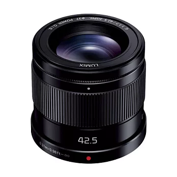 (公司貨)Panasonic LUMIX G 42.5mm F1.7 ASPH. POWER O.I.S. 大光圈定焦鏡-送保護鏡(37)/黑色