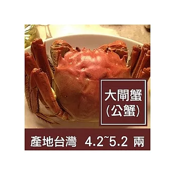 一籃子正宗台灣養殖大閘蟹【4.2~5.2兩公蟹】6隻