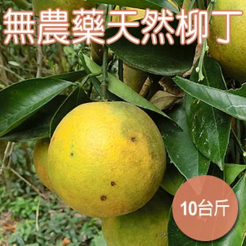 【農夫家】天然柳丁，無農藥種植，10台斤