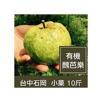 一籃子台中石岡【有機醜芭樂】小菓10斤