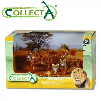 【CollectA】老虎家族組(3pcs)