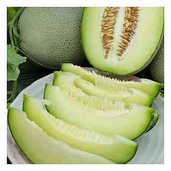 [月之園] 香華品種哈密瓜(5台斤)(含運)