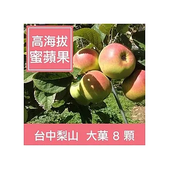 一籃子台中梨山【高海拔蜜蘋果】單顆6兩，共8顆