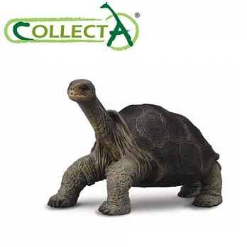 【CollectA】海洋系列 - 平塔島象龜