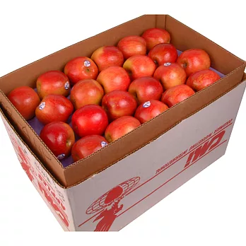 《阿洲水果》美國富士蘋果(80-88粒隨機出貨)