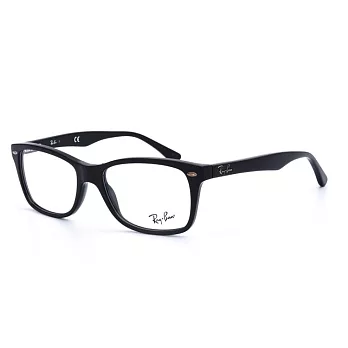 RAY_BAN 文青黑框平光眼鏡5228-2000黑