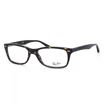 RAY_BAN 低調時尚平光眼鏡5228-2012咖啡