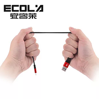 ECOLAAPPLE雙面鋁合金30CM極速充電數據線(黑色)