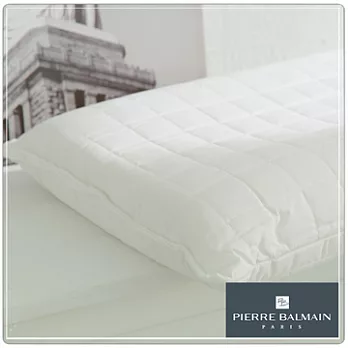 【PB皮爾帕門】特殊防潑水天然乳膠枕-工學型-2入組