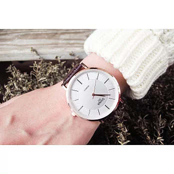 GUGU’S Watch 約克夏提拉米蘇紫棕