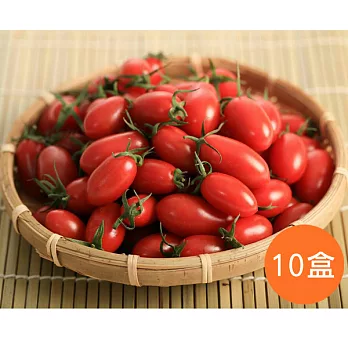 【食在安市集】大埔有機農場：有機玉女小番茄家庭組(10盒)-預購