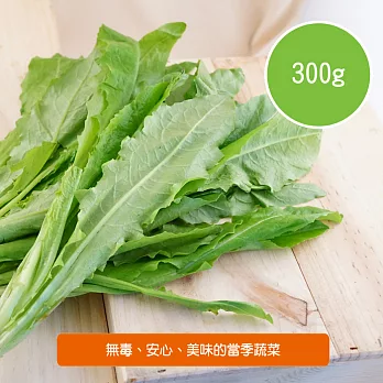 【陽光市集】陽光農業-A菜(300g/包)