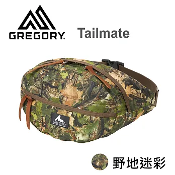 【美國Gregory】Tailmate日系休閒腰包-野地迷彩-S