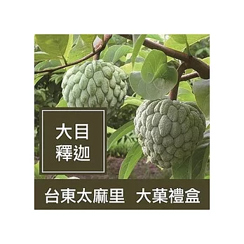 一籃子台東太麻里【大目釋迦】大菓禮盒(2盒)