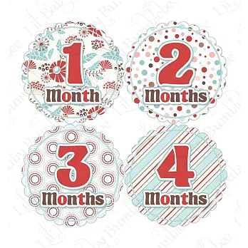 First Year零歲寶寶成長記錄妙衣貼-粉藍花火