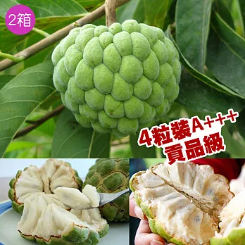 《產地直送》台東大目釋迦(4粒貢品級/比壘球還大)-5斤/箱X2箱