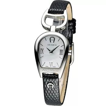 AIGNER R ARTEIIItCQkWDɩ|ÿ A32241
