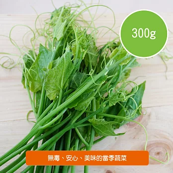 【陽光市集】陽光農業-龍鬚菜(300g/包)