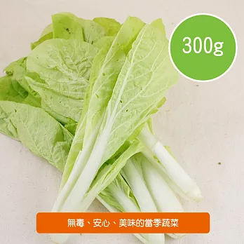 【陽光市集】陽光農業-小白菜(300g/包)