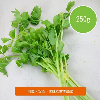 【陽光市集】陽光農業-芹菜(250g/包)