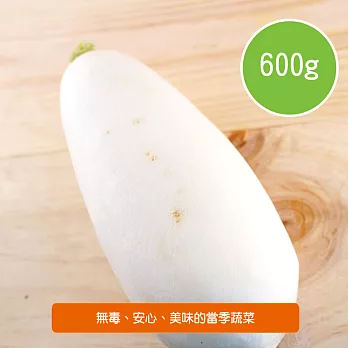 【陽光市集】陽光農業-白蘿蔔(600g/條)