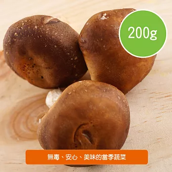 【陽光市集】陽光農業-新鮮香菇(200g/盒)