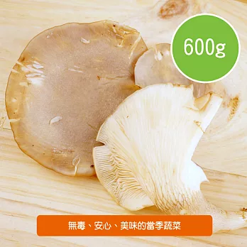 【陽光市集】陽光農業-鮑魚菇(600g/包)