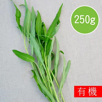 【陽光市集】花蓮好物-有機空心菜(250g)