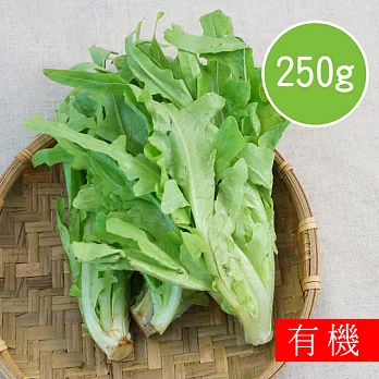 【陽光市集】花蓮好物-有機橡木萵苣(250g)