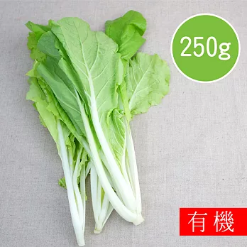 【陽光市集】花蓮好物-有機小白菜(250g)