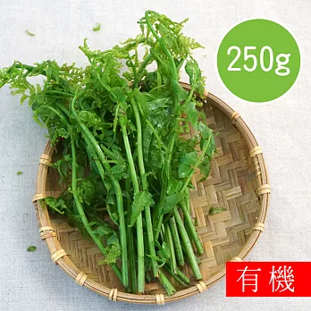 【陽光市集】花蓮好物-有機蕨菜(過貓/250g)