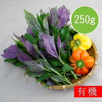 【陽光市集】花蓮好物-有機紅菜(250g)