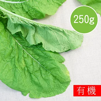 【陽光市集】花蓮好物-有機山甜菜(250g)