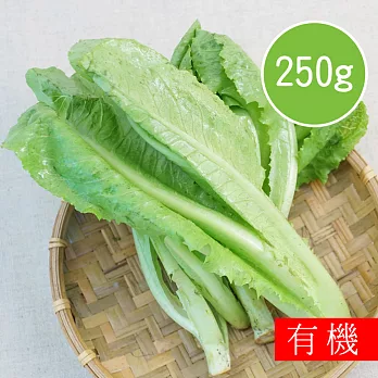 【陽光市集】花蓮好物-有機蘿蔓萵苣(250g)