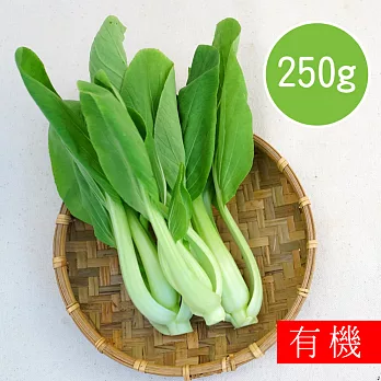 【陽光市集】花蓮好物-有機青江菜(250g)