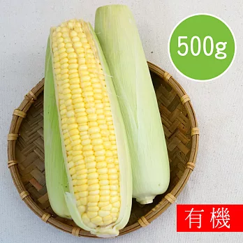 【陽光市集】花蓮好物-甜玉米(500g)