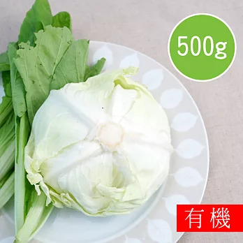 【陽光市集】花蓮好物-有機高麗菜(500g)