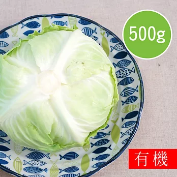 【陽光市集】花蓮好物-有機高山高麗菜(500g)